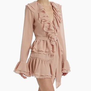 Ronny Kobo 'Palmero' Dress in Rose (NWT)